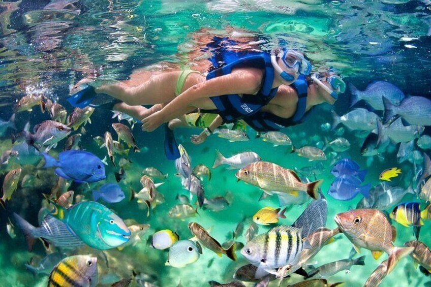 Punta Cana Party Cruise with Snorkeling, Hooka Diving and Parasailing