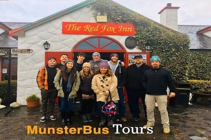 Mercedes Minibus, Ring of Kerry private Tour from Killarney