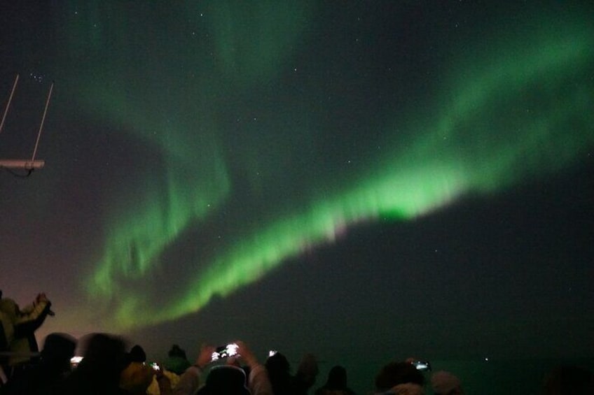 Northern Lights Cruise from Reykjavik
