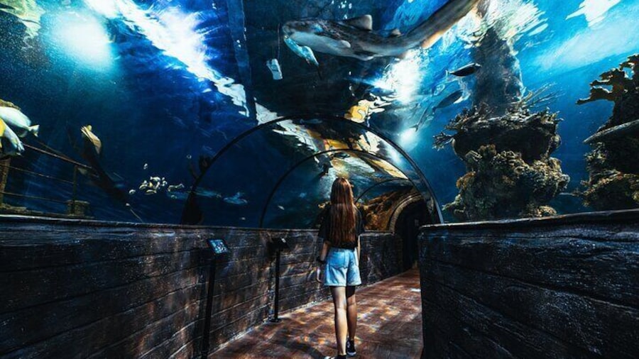 Main Tank Tunnel