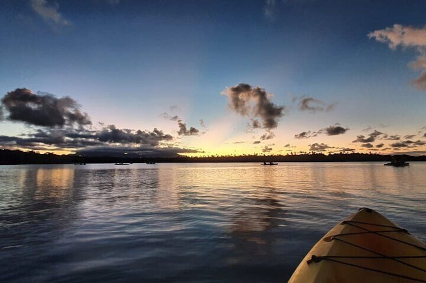 Bioluminescent Bay Night Kayaking 6:00pm | Laguna Grande | Fajardo