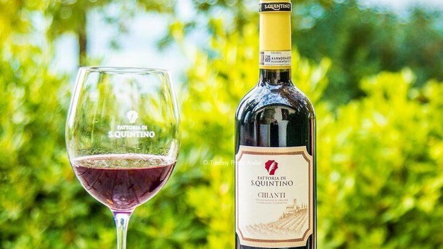Guided tour in San Miniato and wine tasting!