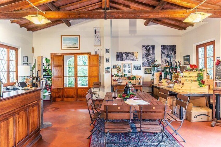 Guided tour in San Miniato and wine tasting!