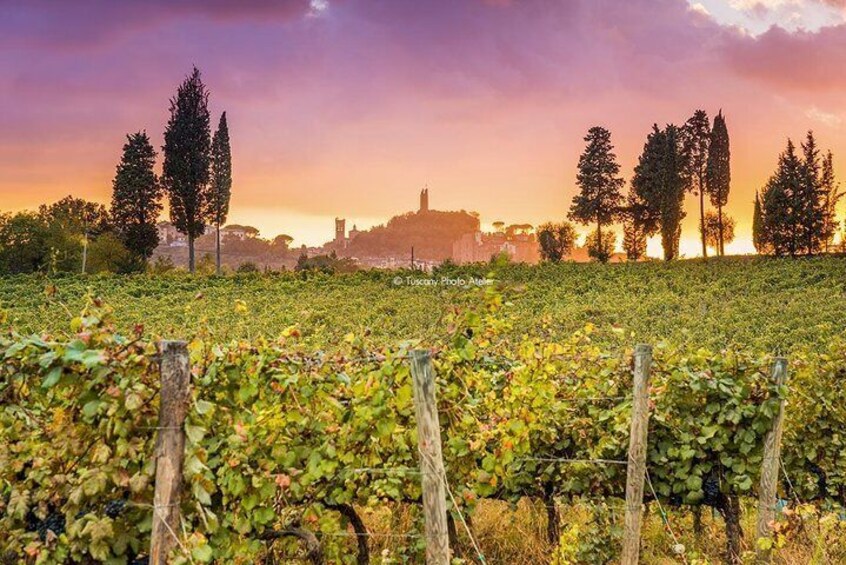 Guided tour in San Miniato and wine tasting!