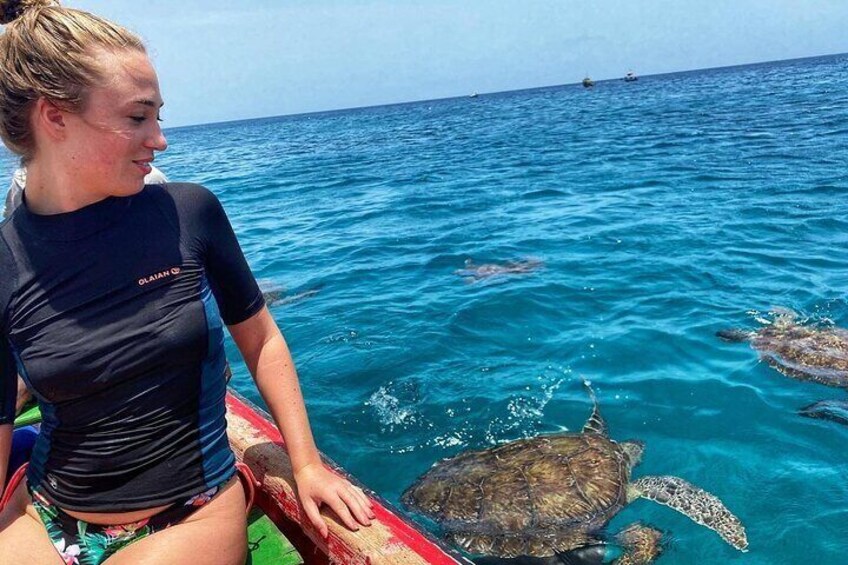 Next to the sea turtles