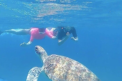 São Pedro experience (hiking & snorkelling with turtles)