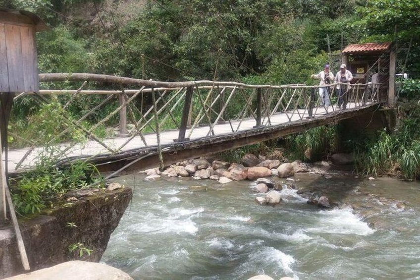 Private Tour to the Yungas Coroico The Death Route from La Paz