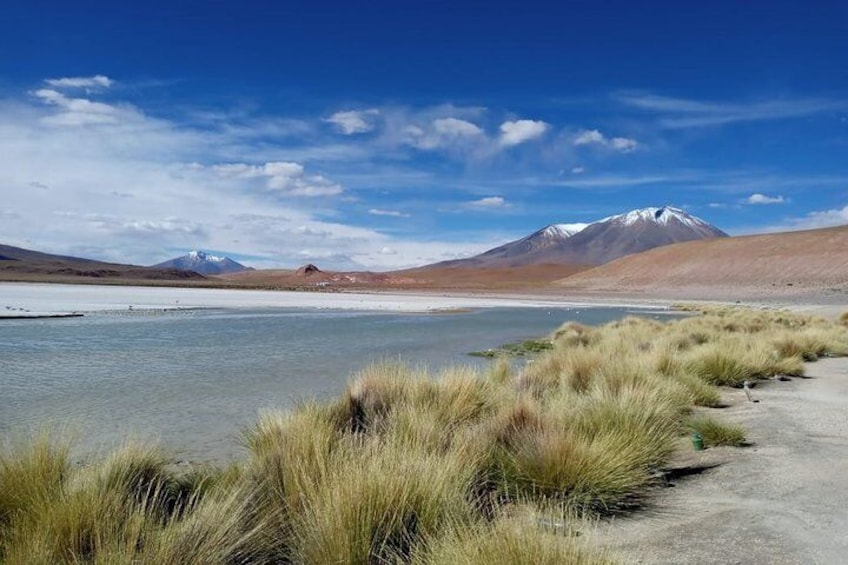 2-Days Uyuni Salt Flats including Laguna Colorada