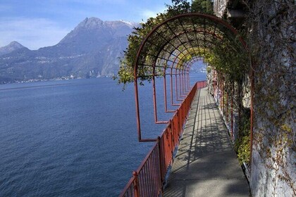 Excursion d'une journée au lac de Côme au départ de Milan : Varenna, Bellag...