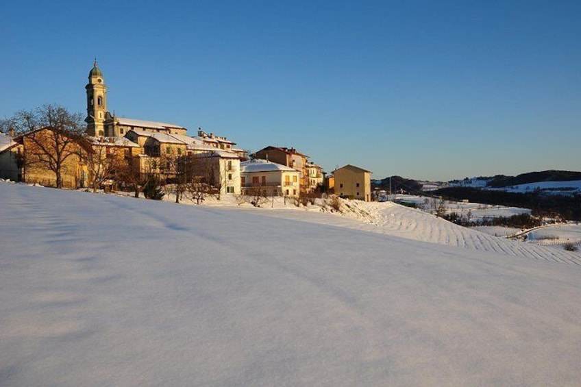 Private tour from Turin: Full day Langhe Region with its Colors and Flavors