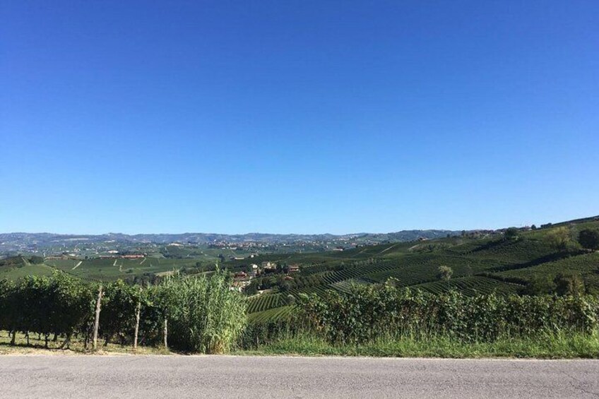Private tour from Turin: Full day Langhe Region with its Colors and Flavors