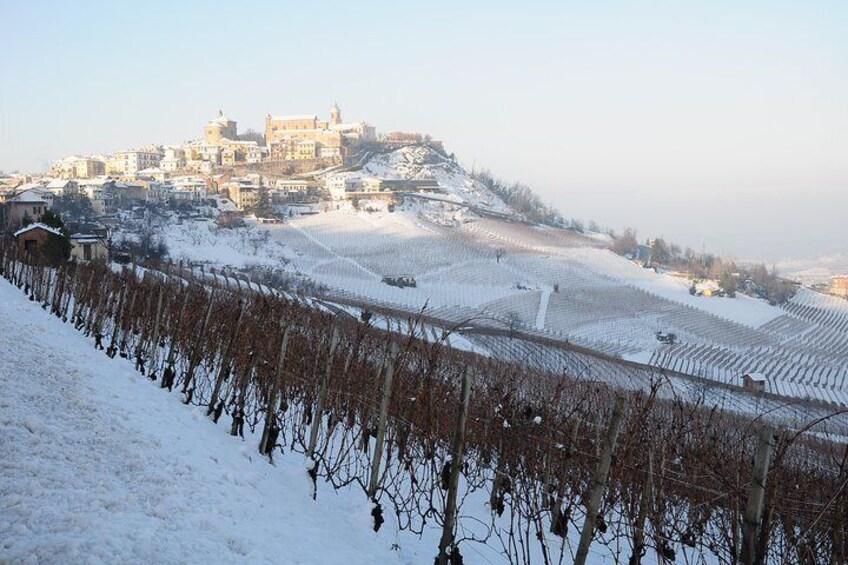 langhe region tour