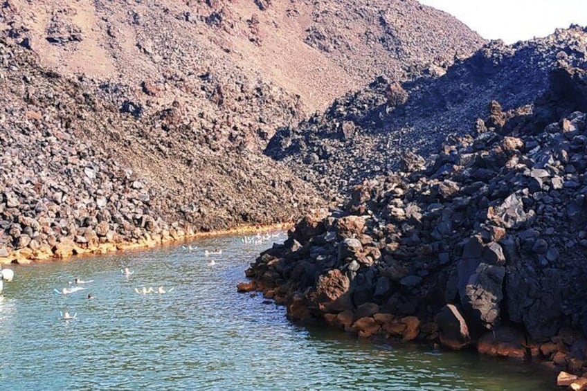 Santorini Volcanic Islands Cruise: Volcano, Hot Springs and Thirassia