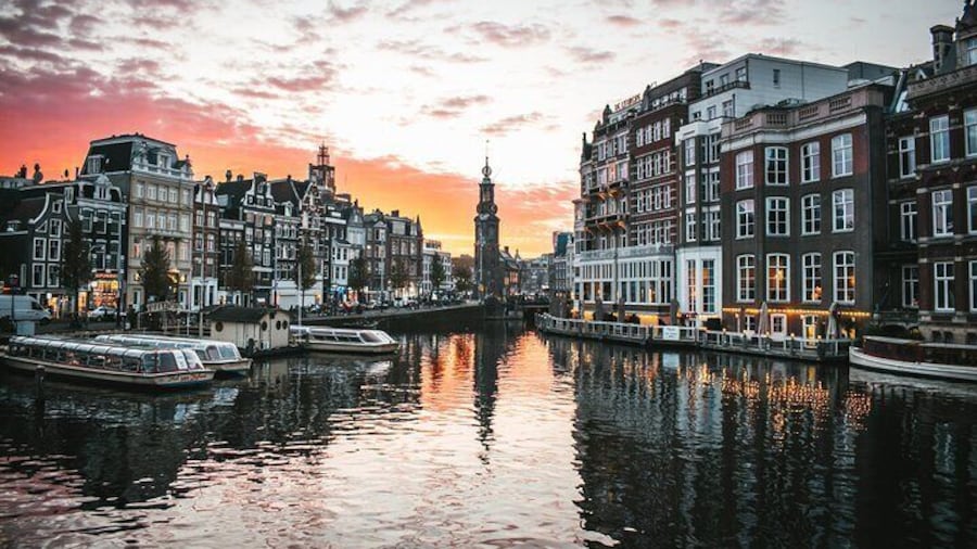 Amsterdam Day Trip from Brussels With Cheese, Clogs and Windmills