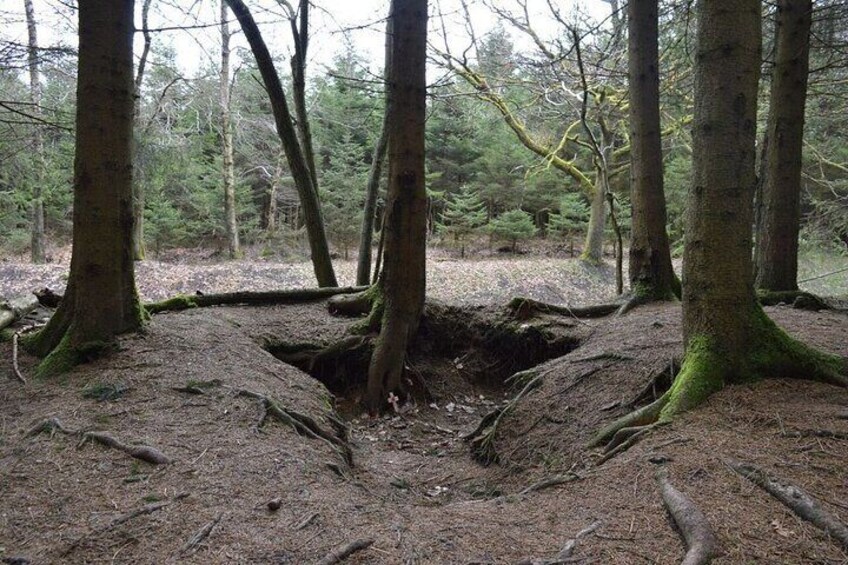 Foxholes
