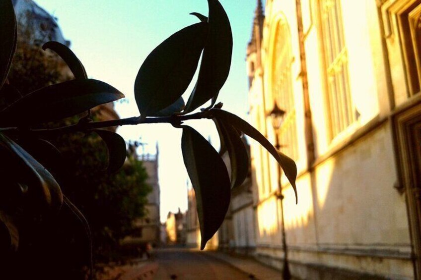 Oxford PRIVATE Pub and City Evening Walking Tour