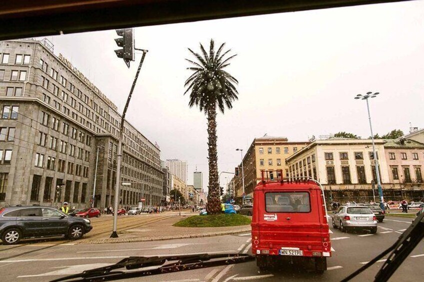 A palm tree in Warsaw?!