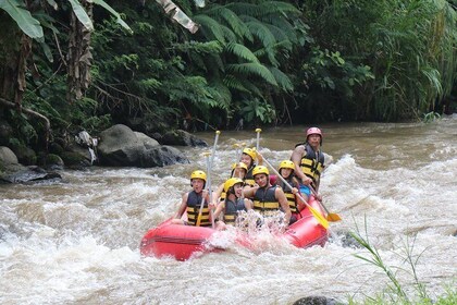 Bali White Water Rafting All-inclusive With Transport and Lunch