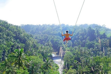 Jungle Swing & White Water Rafting Experience