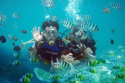 Scuba Diving - Parasailing - Banana Boat - All Inclusive with Hotel Transfe...