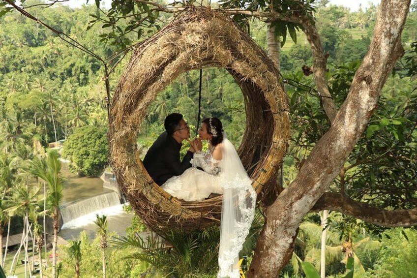 Nest Couple 
