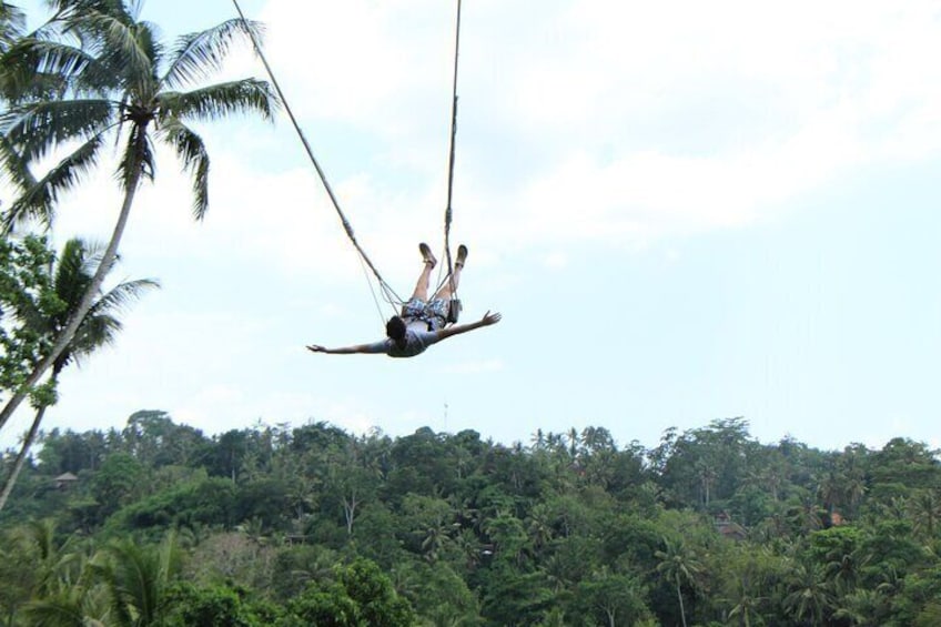 Free Style Swing Bali