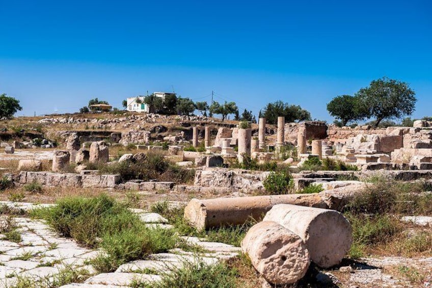 Private Full Day Trip of Umm Qais and Pella from Amman