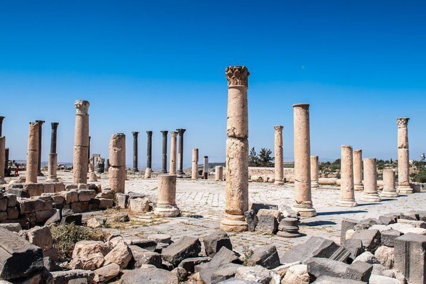 Private Full Day Trip of Umm Qais and Pella from Amman