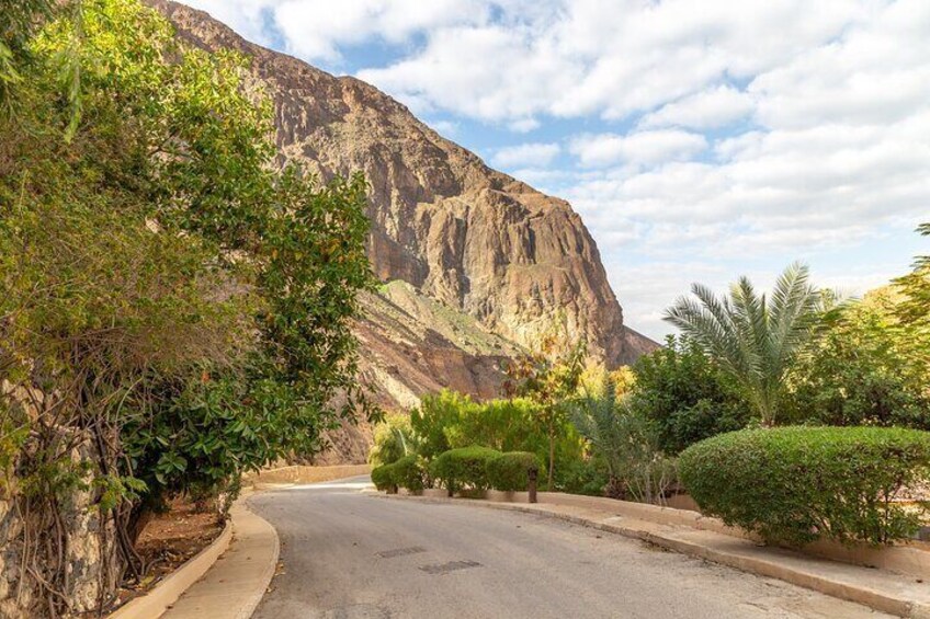 Private Half-Day Ma'in Waterfalls and Hot Springs Tour from Amman