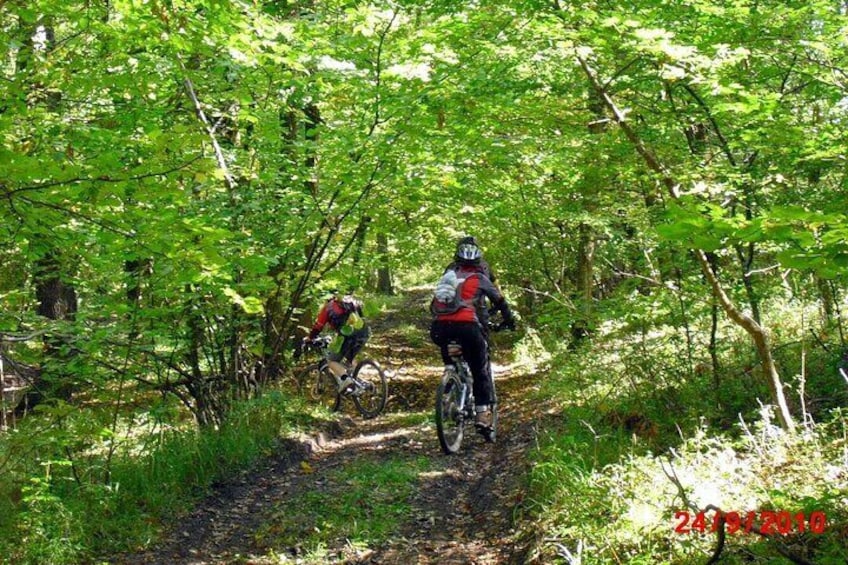 Muntain bike tour in Carpathians
