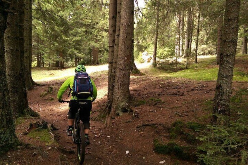 Muntain bike tour in Carpathians