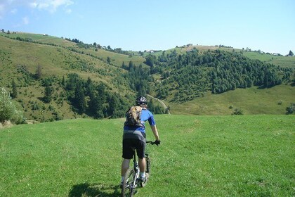 Mountain Bike Day Tour around Brasov