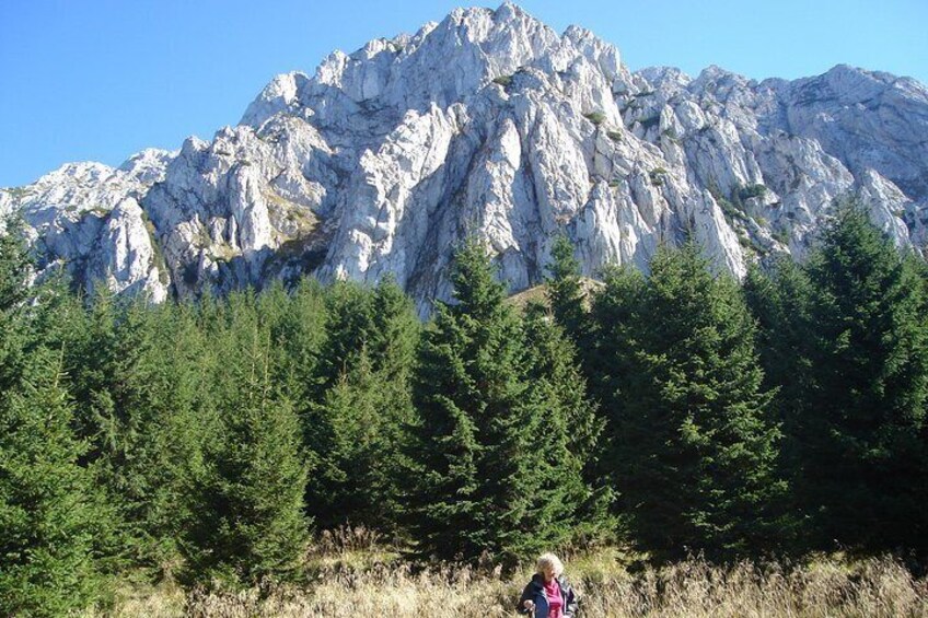 Piatra Craiului National Park