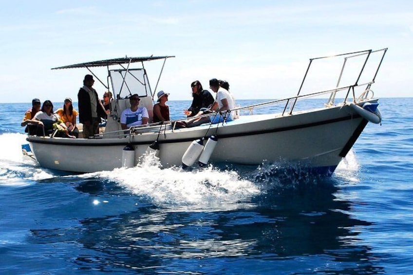 Boat Tour Cinque Terre