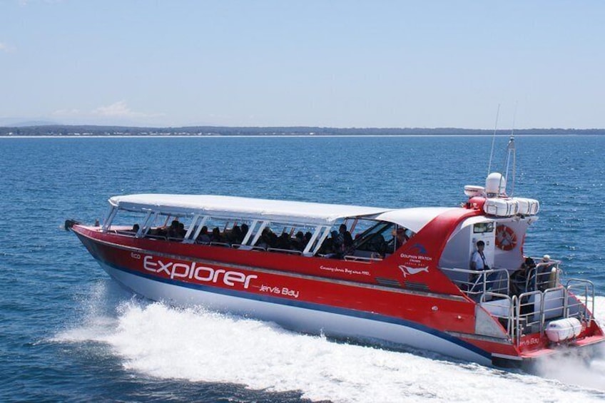 Whale Watching in Jervis Bay