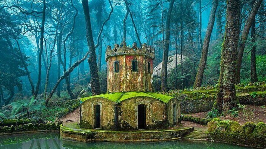 Sintra Landscape