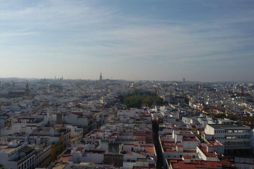 Alcázar tour and roof tour