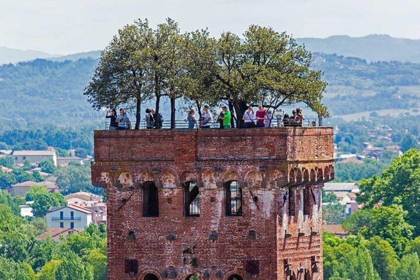 Private Tour: Pisa and Lucca from Florence