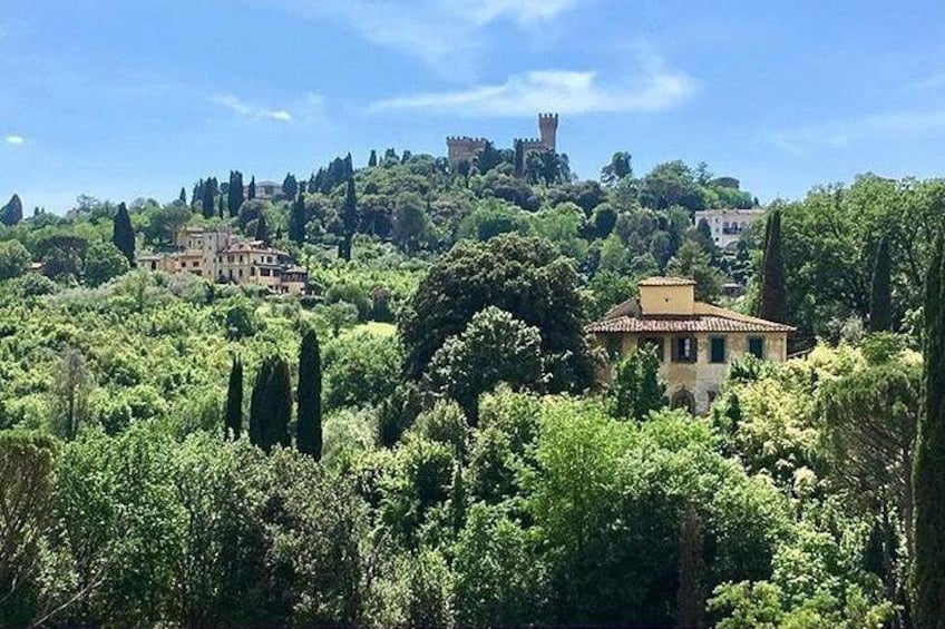 Siena and Chianti Wineries Excursion by Private Luxury Van from Florence