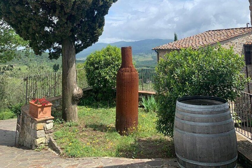 Chianti Vineyards Tours in Private Luxury Van from Florence