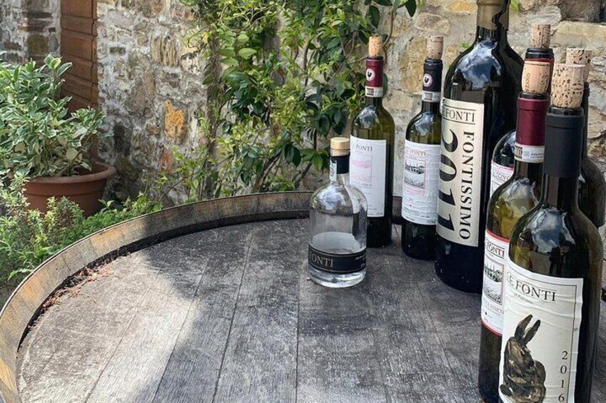Le Fonti Winery
Panzano in Chianti