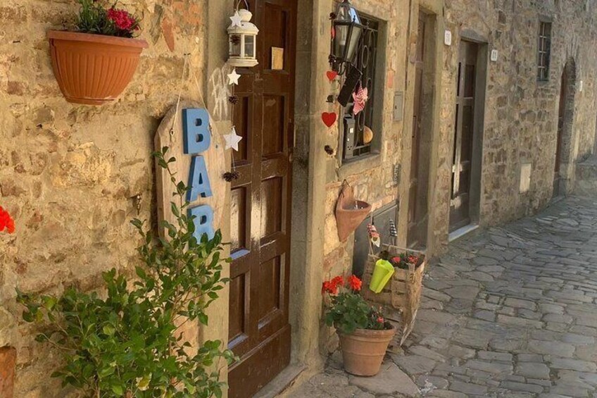 Chianti Vineyards Tours in Private Luxury Van from Florence