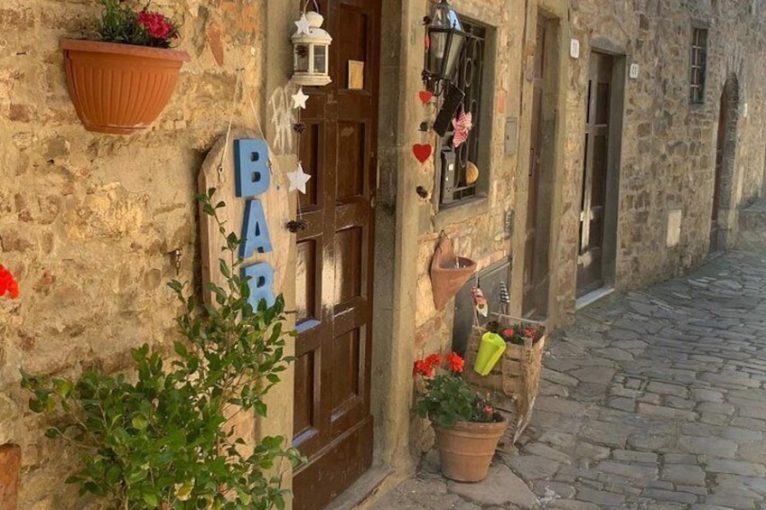 Chianti Vineyards Tours in Private Luxury Van from Florence