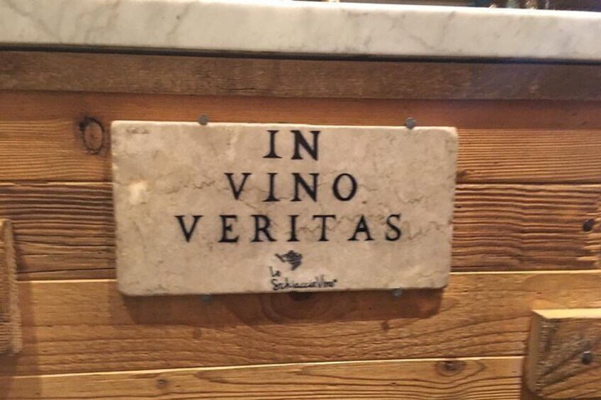 Chianti Vineyards Tours in Private Luxury Van from Florence
