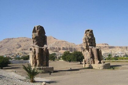 Tour of Ancient Thebes from Port Safaga to Luxor