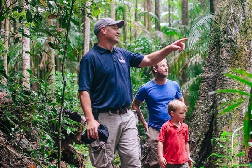 Guided Rainforest walk