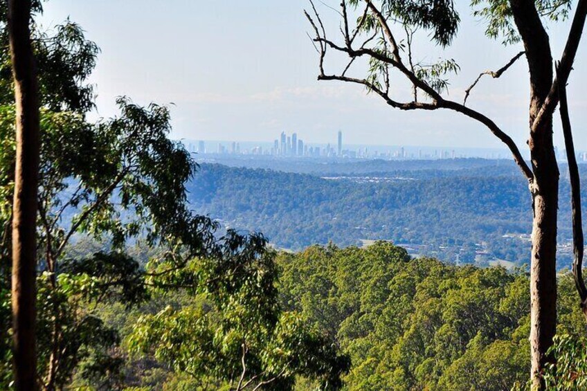 View from Mount Tamborine