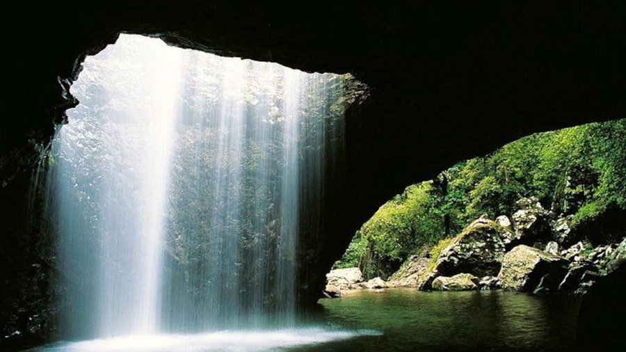 Natural Bridge Springbrook National Park