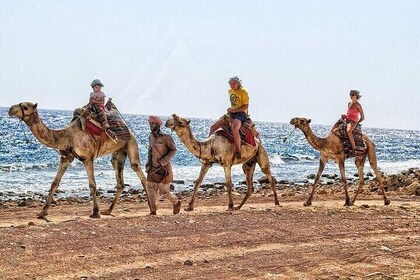 Sightseeing Tour To Dahab From Sharm El Sheikh 