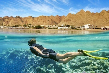 Sharm El Sheikh Top Things To Do In 3 Day